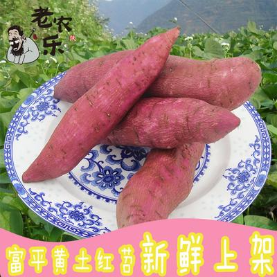 陕西富平老农乐农家自产 原生态甜红苕红薯小番薯新鲜蔬果5斤包邮